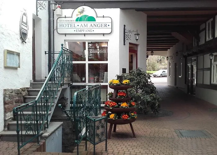 Hotel Am Anger 3*
